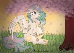 Size: 3500x2500 | Tagged: safe, artist:shirofoz, princess celestia, g4, cherry blossoms, ear fluff, female, floppy ears, high res, sitting, solo, spread wings