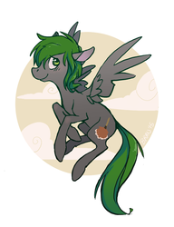 Size: 762x992 | Tagged: safe, artist:goatsocks, oc, oc only, oc:feather dust, pegasus, pony, solo