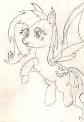 Size: 2185x3141 | Tagged: safe, artist:chronicle23, fluttershy, bat pony, pony, bats!, do princesses dream of magic sheep, g4, bat ears, bat wings, fangs, female, flutterbat, high res, looking at you, mare, monochrome, solo, traditional art