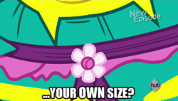 Size: 250x142 | Tagged: safe, edit, edited screencap, screencap, fluttershy, saddle rager, g4, power ponies (episode), animated, female, image macro, meme, power ponies, solo, text