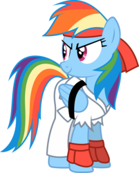 Size: 5000x6208 | Tagged: safe, artist:fehlung, rainbow dash, g4, absurd resolution, crossover, female, remix apple apple apple, ryu, simple background, solo, street fighter, transparent background, vector