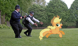 Size: 3872x2328 | Tagged: safe, artist:moongazeponies, artist:normanb88, applejack, earth pony, human, pony, g4, artifact, baton, chase, crossover, cute, danny butterman, female, fuck the police, grass, happy, hot fuzz, irl, irl human, jackabetes, mare, nicholas angel, nick frost, open mouth, photo, police, ponies in real life, running, silly, silly pony, simon pegg, smiling, story in the comments, tree, vector