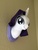 Size: 1200x1600 | Tagged: safe, artist:misfitmenagerie, rarity, g4, irl, mounted head, photo, plushie, solo, trophy