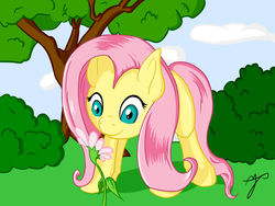 Size: 1600x1200 | Tagged: safe, artist:taxar, fluttershy, g4, bush, colored, cute, female, flower, grass, shyabetes, sniffing, solo, tree