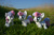 Size: 1280x853 | Tagged: safe, artist:burgunzik, sweetie belle, pony, unicorn, g4, grass, horn, irl, outdoors, photo, plushie, self plushidox, solo