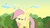 Size: 1920x1080 | Tagged: safe, screencap, fluttershy, pegasus, pony, g4, awkward moment, cloud, female, hub logo, logo, sky, solo, spread wings, spreading, the hub, tree, wings