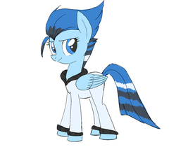 Size: 1553x1305 | Tagged: artist needed, safe, oc, oc only, bird pone, blue jay, clothes, simple background, solo, white background