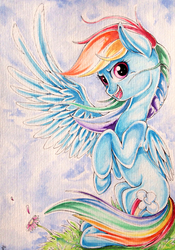 Size: 2122x3034 | Tagged: safe, artist:yellowrobin, rainbow dash, g4, female, high res, solo, traditional art
