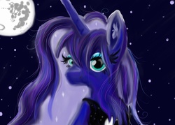 Size: 1400x1000 | Tagged: safe, artist:superdashiebros, princess luna, g4, female, mare in the moon, moon, solo