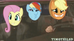 Size: 766x428 | Tagged: safe, artist:timoteilsd, applejack, fluttershy, rainbow dash, human, g4, animated, female, gif, grin, gritted teeth, hat, irl, irl human, male, night at the roxbury, photo, rainbow dash is best facemaker, smiling, the grand galloping collab, what is love, youtube poop