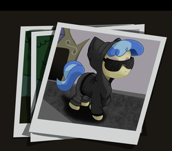 Size: 1600x1400 | Tagged: safe, artist:frenkieart, sapphire shores, g4, clothes, disguise, female, hoodie, photo, solo, sunglasses, sweatpants