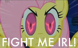 Size: 500x308 | Tagged: safe, edit, edited screencap, screencap, fluttershy, g4, stare master, code geass, cropped, female, geass, internet tough guy, reaction image, solo, the stare