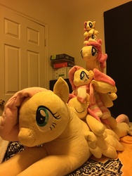 Size: 2448x3264 | Tagged: safe, artist:janellesplushies, fluttershy, g4, high res, irl, multeity, photo, plushie, pony pile, so much flutter