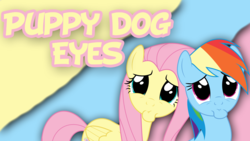 Size: 2560x1440 | Tagged: safe, fluttershy, rainbow dash, g4, trade ya!, duo, pouting, text, vector, wallpaper, wide eyes