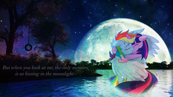 Size: 1920x1080 | Tagged: safe, artist:ambris, artist:iphstich, artist:xrandomgurl, edit, rainbow dash, twilight sparkle, pegasus, pony, unicorn, g4, can't remember to forget you, dark, duo, female, full moon, hug, kiss on the lips, kissing, lesbian, mare, palindrome get, shakira, ship:twidash, shipping, song reference, tire swing, tree, vector, wallpaper, wallpaper edit, water, winghug