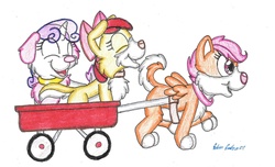Size: 1820x1105 | Tagged: safe, artist:silversimba01, apple bloom, scootaloo, sweetie belle, dog, husky, poodle, g4, border collie, cutie mark crusaders, dogified, puppy, species swap, traditional art, winged dog