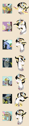 Size: 850x3675 | Tagged: safe, artist:shadobabe, discord, oc, oc:prince pax, hybrid, g4, comparison, facial expressions, interspecies offspring, offspring, parent:discord, parent:princess celestia, parents:dislestia