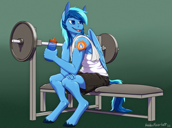 Size: 1707x1280 | Tagged: safe, artist:hobbsmeerkat, oc, oc only, oc:umami stale, pegasus, anthro, unguligrade anthro, alternative cutie mark placement, anthro oc, bench, clothes, male, shorts, solo, tank top, towel, unshorn fetlocks, water bottle, weights