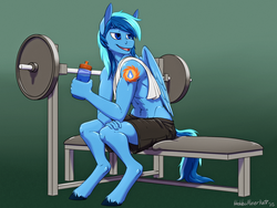 Size: 1280x960 | Tagged: safe, artist:hobbsmeerkat, oc, oc only, oc:umami stale, pegasus, anthro, unguligrade anthro, abs, alternative cutie mark placement, anthro oc, bench, clothes, male, shorts, solo, topless, towel, unshorn fetlocks, water bottle, weights