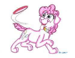 Size: 1825x1410 | Tagged: safe, artist:silversimba01, pinkie pie, dog, g4, dogified, female, mare, puppy pie, solo, species swap
