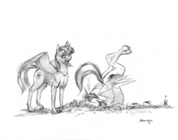 Size: 1000x786 | Tagged: safe, artist:baron engel, shining armor, twilight sparkle, alicorn, bear, pony, fanfic:a different perspective, g4, alicornified, backbend, crash, face down ass up, faceplant, fanfic art, flying lesson, grayscale, monochrome, pencil drawing, prince shining armor, race swap, shiningcorn, traditional art, twilight sparkle (alicorn), you're doing it wrong