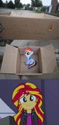 Size: 1316x2796 | Tagged: safe, rainbow dash, sunset shimmer, pegasus, pony, fanfic:my little dashie, equestria girls, g4, dashie meme, exploitable meme, good people finding dash meme, meme