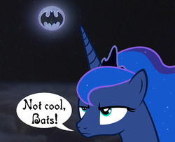 Size: 653x529 | Tagged: safe, princess luna, g4, bat signal, batman, crossover, dc comics, female, solo