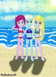 Size: 762x1048 | Tagged: safe, artist:robukun, fuchsia blush, lavender lace, trixie, equestria girls, g4, my little pony equestria girls: rainbow rocks, background human, beach, belly button, bikini, clothes, female, midriff, swimsuit, trixie and the illusions