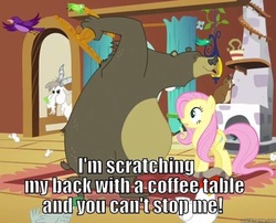 Size: 556x449 | Tagged: safe, fluttershy, harry, bear, goat, g4, hairy, image macro, meme