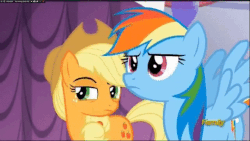 Size: 640x360 | Tagged: safe, screencap, applejack, rainbow dash, canterlot boutique, g4, animated, discovery family logo, female, frown, glare, horses doing horse things, snorting, spread wings, unconvinced applejack
