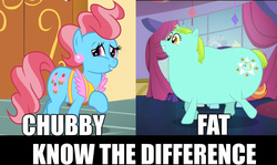 Size: 1036x618 | Tagged: safe, edit, edited screencap, screencap, cup cake, rarity, sassy saddles, whoa nelly, canterlot boutique, g4, chubby, comparison, fat, image macro, know the difference, meme, obese
