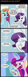 Size: 1158x3124 | Tagged: safe, artist:icesticker, princess cadance, rarity, sassy saddles, canterlot boutique, g4, comic, this will end in tears and/or death