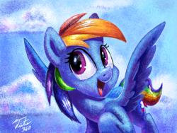 Size: 1024x768 | Tagged: safe, artist:tsitra360, rainbow dash, g4, challenge, cloud, cloudy, female, flying, grainy, legitimately amazing mspaint, ms paint, open mouth, paintbrush (app), signature, sky, solo