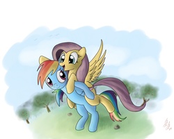 Size: 1000x800 | Tagged: safe, artist:miokomata, fluttershy, rainbow dash, pegasus, pony, g4, female, fluttershy riding rainbow dash, lesbian, ponies riding ponies, riding, ship:flutterdash, shipping, tree