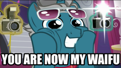 Size: 1920x1080 | Tagged: safe, edit, edited screencap, screencap, fashion plate, canterlot boutique, g4, camera, faic, fashion reaction, image macro, meme, reaction image, waifu