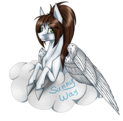 Size: 800x788 | Tagged: safe, artist:sunny way, oc, oc only, oc:sunny way, rcf community, simple background, solo, transparent background, unshorn fetlocks