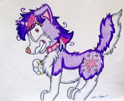 Size: 1660x1356 | Tagged: safe, artist:silversimba01, twilight sparkle, dog, g4, border collie, clock is ticking, dogified, fanart, female, funny, insanity, mare, solo, species swap, traditional art, twilight barkle, twilight snapple