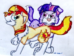 Size: 1604x1224 | Tagged: safe, artist:silversimba01, sunset shimmer, twilight sparkle, dog, pony, unicorn, g4, border collie, dogified, female, mare, species swap, traditional art