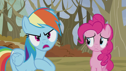 Size: 1366x768 | Tagged: safe, screencap, pinkie pie, rainbow dash, g4, tanks for the memories