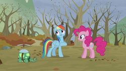 Size: 1366x768 | Tagged: safe, screencap, pinkie pie, rainbow dash, tank, g4, tanks for the memories