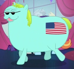Size: 910x860 | Tagged: safe, edit, edited screencap, screencap, rarity, sassy saddles, whoa nelly, canterlot boutique, g4, american, american flag, ebin may may, fat, flag, glasses, incidental pony, le american bear, meme, murica, quality, spurdo spärde, stereotype, sunglasses, united states