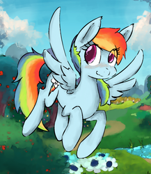 Size: 1000x1152 | Tagged: safe, artist:mrpotat0wned, rainbow dash, g4, female, solo