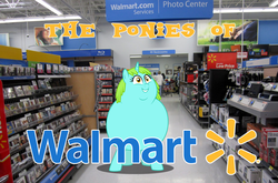 Size: 1532x1010 | Tagged: safe, whoa nelly, pony, canterlot boutique, g4, brony, fat, incidental pony, irl, people of walmart, photo, ponies in real life, ponies of walmart, solo, walmart