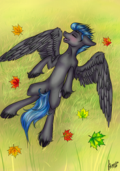 Size: 1737x2464 | Tagged: safe, oc, oc only, pegasus, pony, autumn, commission, male, solo, stallion, wings