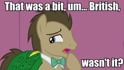 Size: 640x360 | Tagged: safe, doctor whooves, time turner, pony, g4, slice of life (episode), british, buffy the vampire slayer, image macro, male, meme, quote, rupert giles, solo, stallion