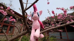 Size: 1248x704 | Tagged: safe, artist:hutouluosha, pinkie pie, g4, irl, photo, plum blossom, plushie