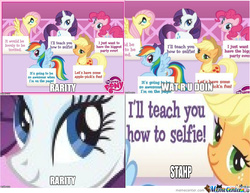 Size: 640x493 | Tagged: safe, applejack, fluttershy, pinkie pie, rainbow dash, rarity, g4, image macro, meme, panel, stahp