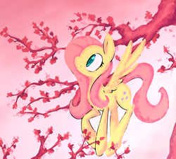 Size: 1000x900 | Tagged: safe, artist:mrpotat0wned, fluttershy, g4, female, solo