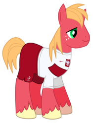 Size: 827x1100 | Tagged: safe, artist:isegrim87, big macintosh, earth pony, pony, g4, clothes, football, jersey, male, poland, simple background, solo, stallion, transparent background, vector