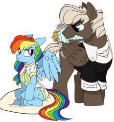 Size: 860x922 | Tagged: safe, artist:dbkit, dumbbell, rainbow dash, pegasus, pony, g4, alternate hairstyle, bouquet, clothes, dress, dumbdash, duo, female, flower, male, misleading thumbnail, pillow, shipping, simple background, straight, transparent background